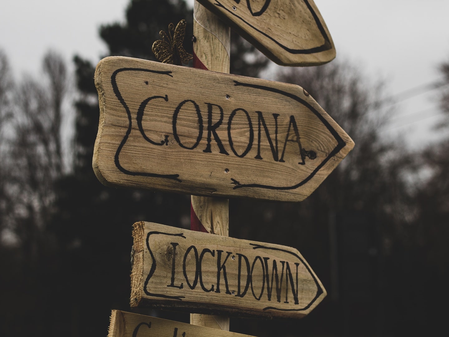 wooden arrows pointing east with corona and lockdown written on them in black